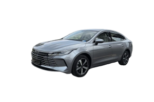 BYD Destroyer 05 2022 -